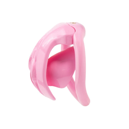 Realistic Vagina Chastity Cage Negative Cock Cage with 4 Size Rings Sissy Love Lock Mini BDSM Penis Abstinence Adults Sex Toys