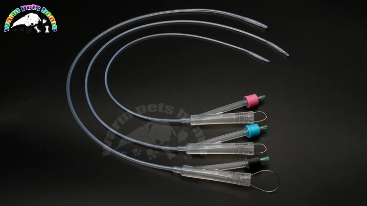 10PCS Medical 2-Way Silicone Foley Catheter Cannula 6Fr 8Fr 10Fr Canine Dog Urinary Catheter Veterinary Consumables