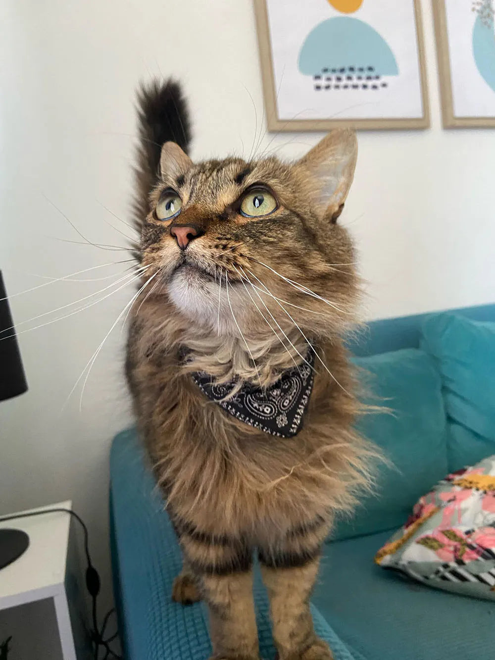 Adjustable Pet Puppy Cat Scarf Bandana Collar Neck Scarf For Small Dogs Kitten Saliva Towel PU Collar with Triangular Bandage