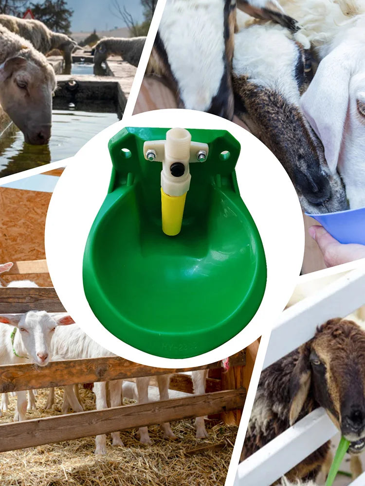 Livestock Sheep Goat Drinking Bowl Plastic Value Quality Water Fountain Cattle Sheep Dog Feeding Supplies Farm Animals Livestock