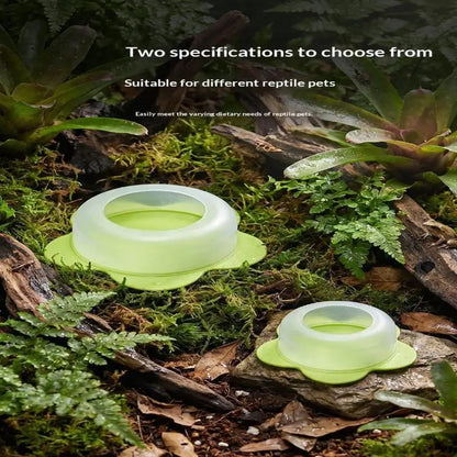 New 1Pcs ABS Reptile Feeding Dish Anti Escape Worm Food Bowl For Lizards Geckos Snakes Turtles Tortoises