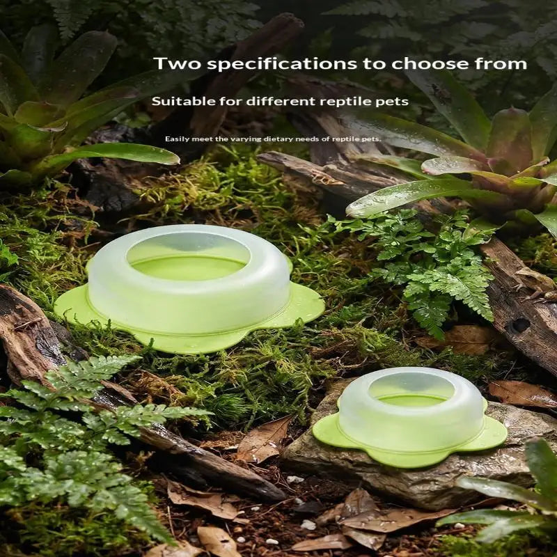 New 1Pcs ABS Reptile Feeding Dish Anti Escape Worm Food Bowl For Lizards Geckos Snakes Turtles Tortoises
