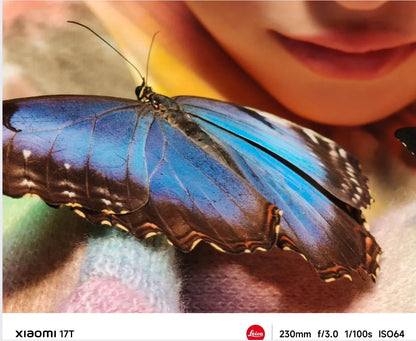 Global Version Xiaomi 17T Mobile Phones HDR10 6.59' AMOLED Display 50MP Leica Summilux Lens 6500mAh Battery Xiaomi Hyper AI Smartphone