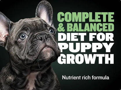 BULLY MAX HIGH PROTEIN & GROWTH WHOLESOME FORMULA FOR PUPPIES, Promotes Strong Muscle Development And Overall Health 120g