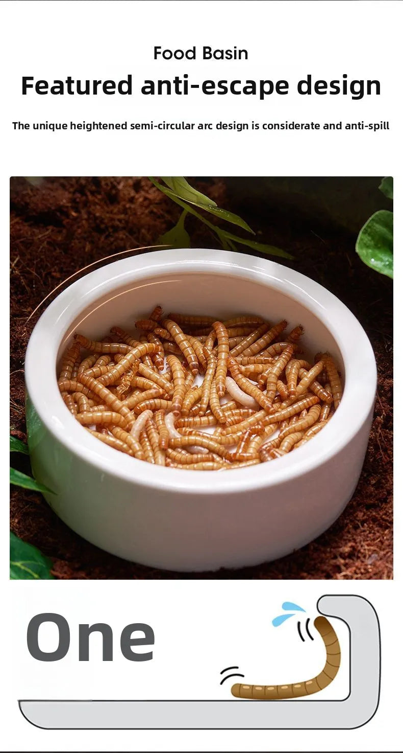 Reptile Water Food Bowl Anti-Escape Ceramic Feeder Dish for Lizard Hermit Gecko Chameleon Corn Snake Bearded Dragon Accessories