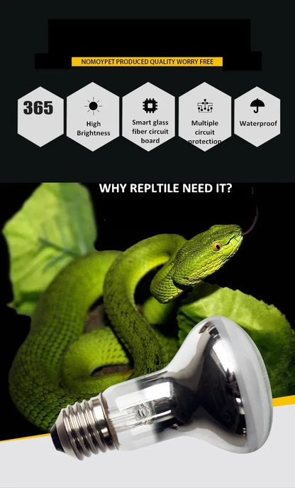 Reptile 40W/60W UVA UVB Sun Light Intense Basking Spot Simulated Natural Sunlight Reptile Heating Lamp for Lizard Snake Turtle
