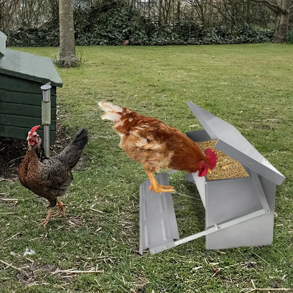 Automatic Feeder, Feeding Trough with Automatic Pedal & Mouse Protection Lid, 5KG/10KG Chicken Feeder for Farm Animals