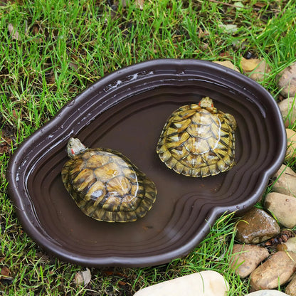 Reptile Bathing Pool Amphibians Accessories Large with Ramp Reptile Water Bowl for Tortoise Turtle Hamster Scorpion Leopard