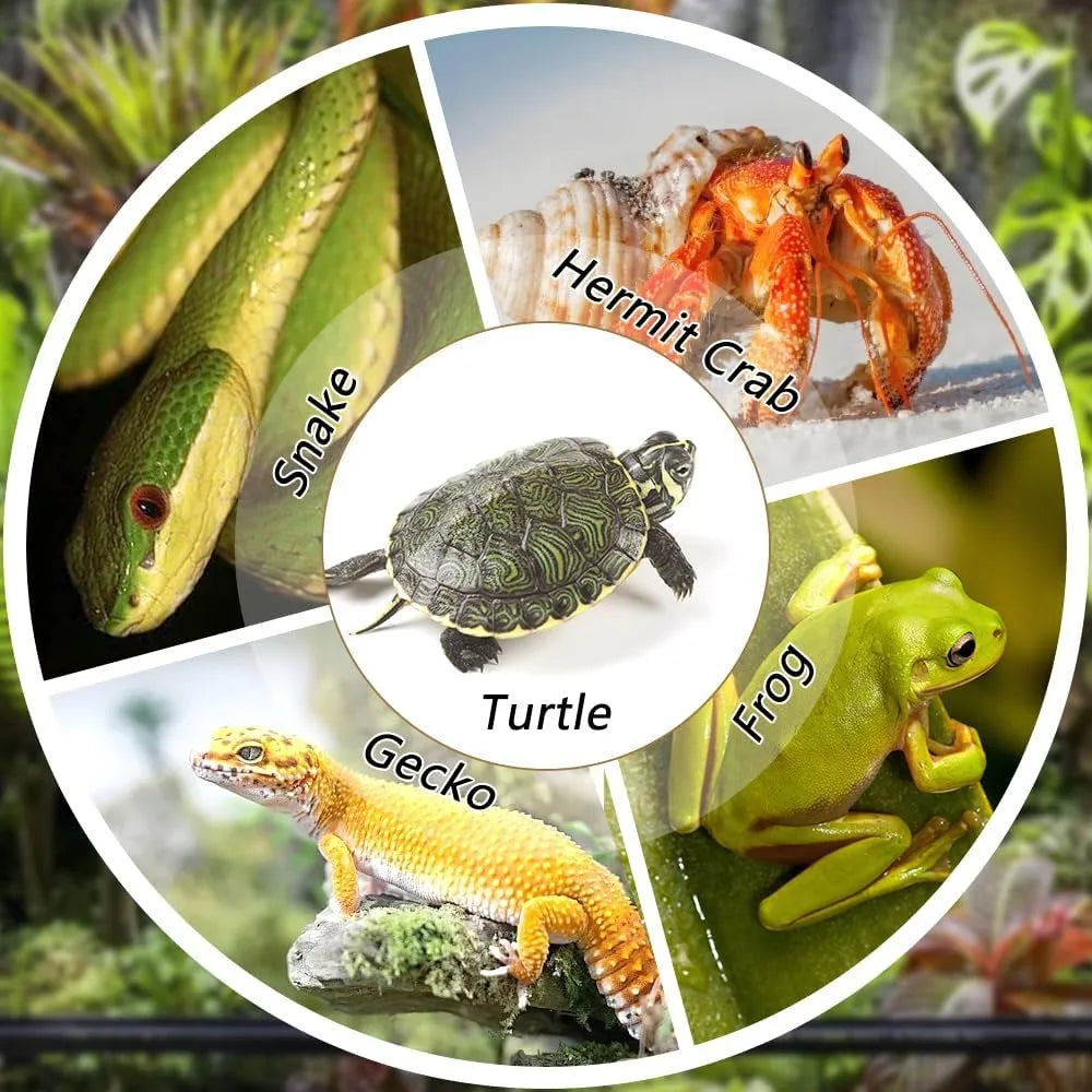 Turtle Bathing Pool, Reptile Feeding Dish Water Pot, Landscape Fish Tank Decoration,Turtle Bath Pool for Aquatic Climbing Pet