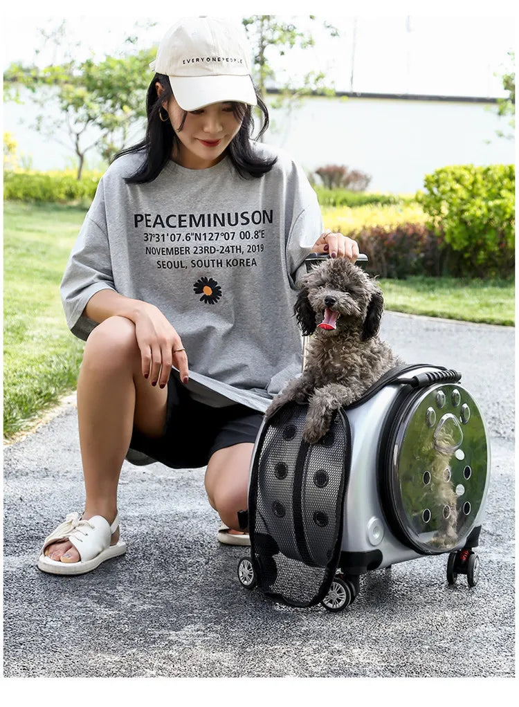 Pet Luggage, Transparent Space Capsule, Multi-purpose Backpack, Cat Bag, Large Capacity, Two Portable Small Dogs, Outdoor Bag