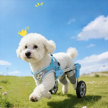 Pet Dog Wheelchair Cart Adjustable Pet Mobility Aid with Wheels Disabled Cat Dog Rehabilitation Walking Mobility Aid Pet Bracket