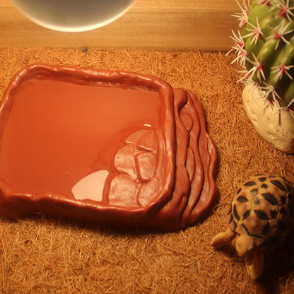 Anti-Slip Ladders Reptile Bowl Reptile Bathing Pool Tortoise Bathtub Water Dish Aquarium Ornament Tortoise Habitat Accessories