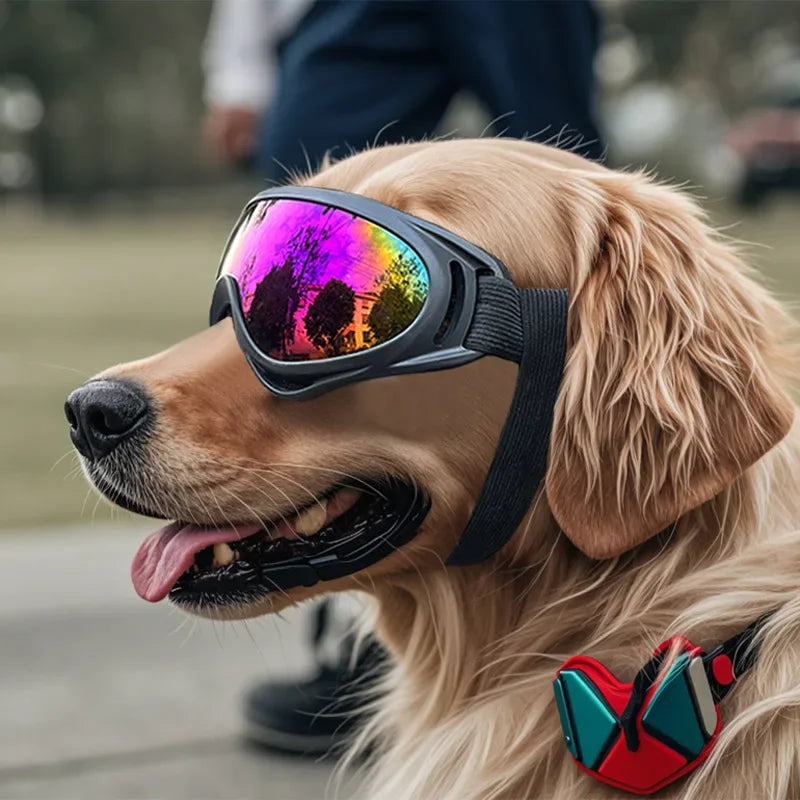 Wind Resistant Waterproof Pet Eye Protection Goggles Lightweight Cute Decor Glasses for Dogs & Maine Coon Cats Bike Car Travel