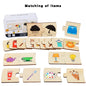 Children's Iron Box Number Enlightenment Paired Wooden Animal Food Puzzle Board Logical Thinking Training Game Educational Toys