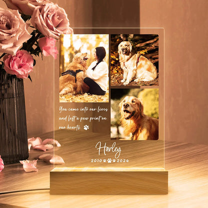 Personalized Photo Night Light Pet Memorial Gift Custom Pet Decor Warm Home Room Ornament Personalized Memorial Gift For Lovers