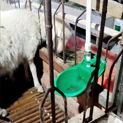 Livestock Sheep Goat Drinker Bowl With Valve Quality Water Fountain Cattle Sheep Dog Feeding Equipment Farm Animals Livestock