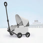 Foldable Pet Stroller Cart for Small Dogs Cats Puppy Kitten Outdoor Travel Carrier Toy Pushcart