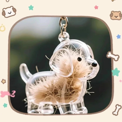 New Clear Puppy Hair Memorial Keepsake Capsule Pet's Dog Fur Container DIY Pendant Keychain Decor Pet Lovers Home Display Gifts