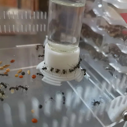 5-40ml Ant Farm Water Tower Anthill Water Bowl for Ant House Workshop Water Feeder Ant Nest Drinking Bottle Drinker