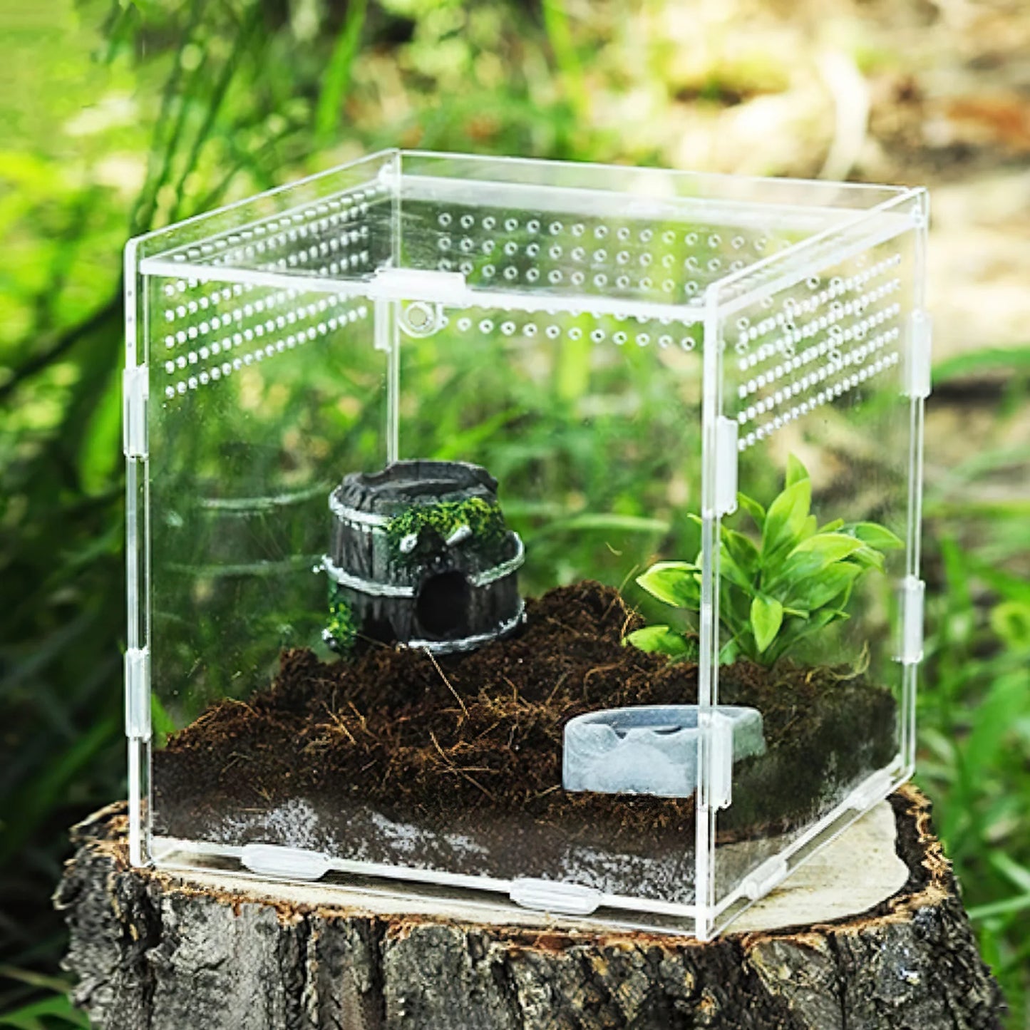 Hermit Crab Reptile Breeding Box Portable Magnetic Absorption Acrylic Transparent Mini Pet Houses For Scorpions Frogs Turtles