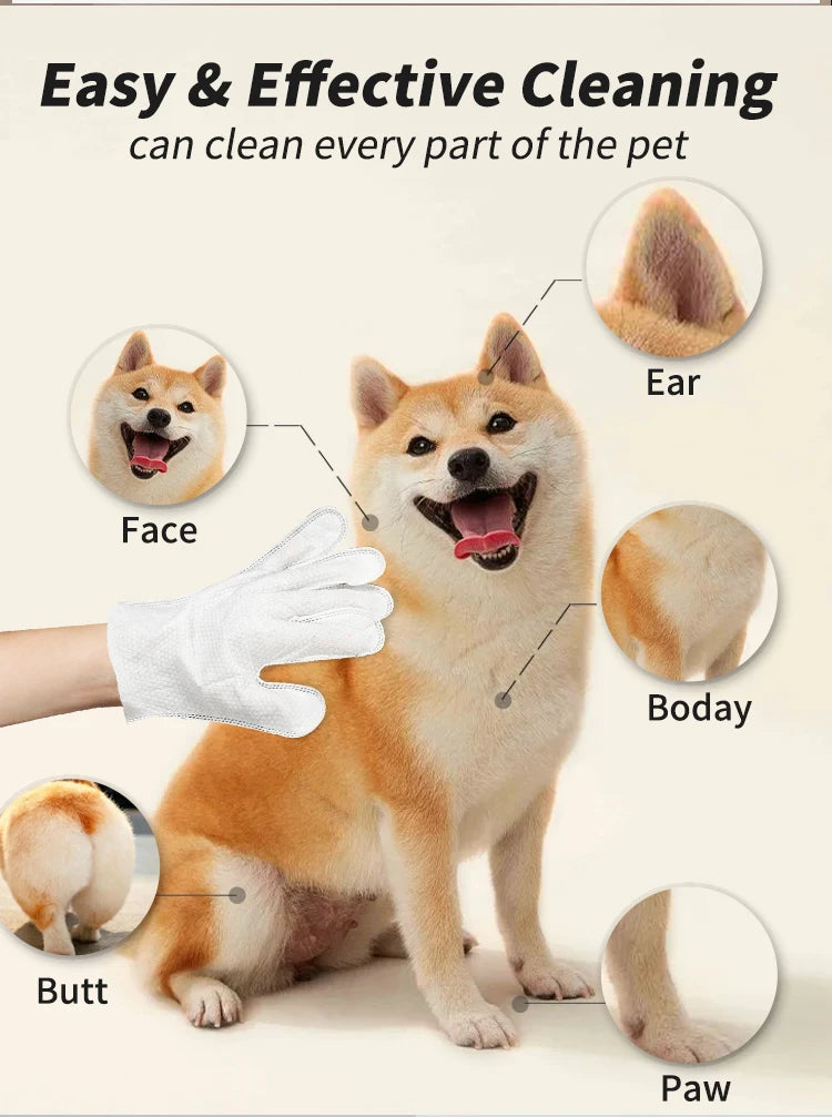 Pet Cleaning Disposable Gloves for Cats And Dogs No-Wash Bathing Hand Sanitizer Pack of 6 for Pet Care