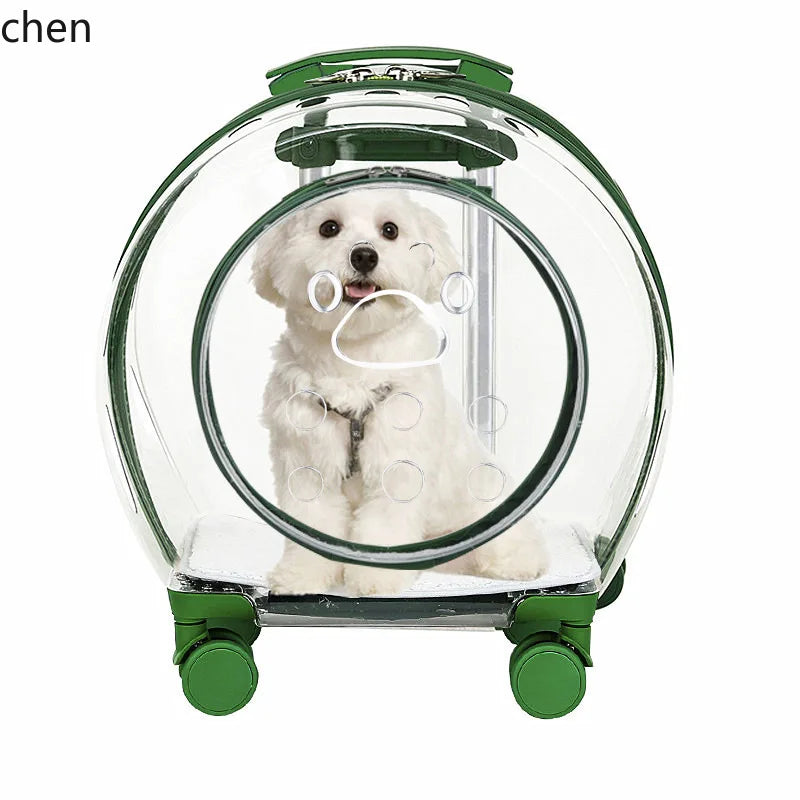 pet trolley case portable dog going out transparent trolley bag large capacity two cats