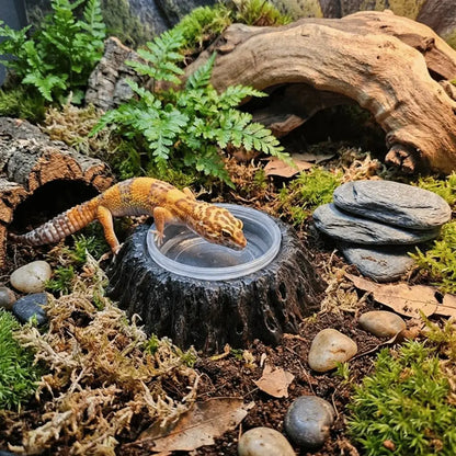 Imitation Stone Resin Rock Feeder Dish Wear Resistant Anti-knock Pet Feeder Ledge with Bowls Wide Mouth Reptile Food Bowl