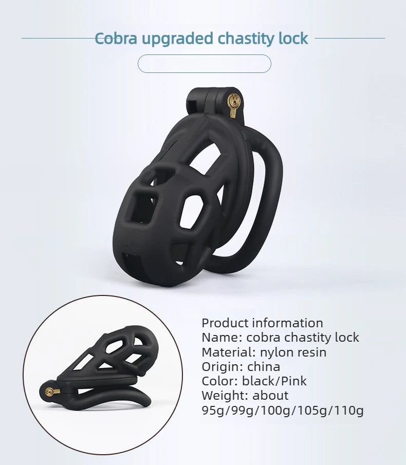 2026 New Chastity Lock Cage SM Flirting Breathable Resin Male Virginity Device Fetish Male Penis Lock with 4 Rings