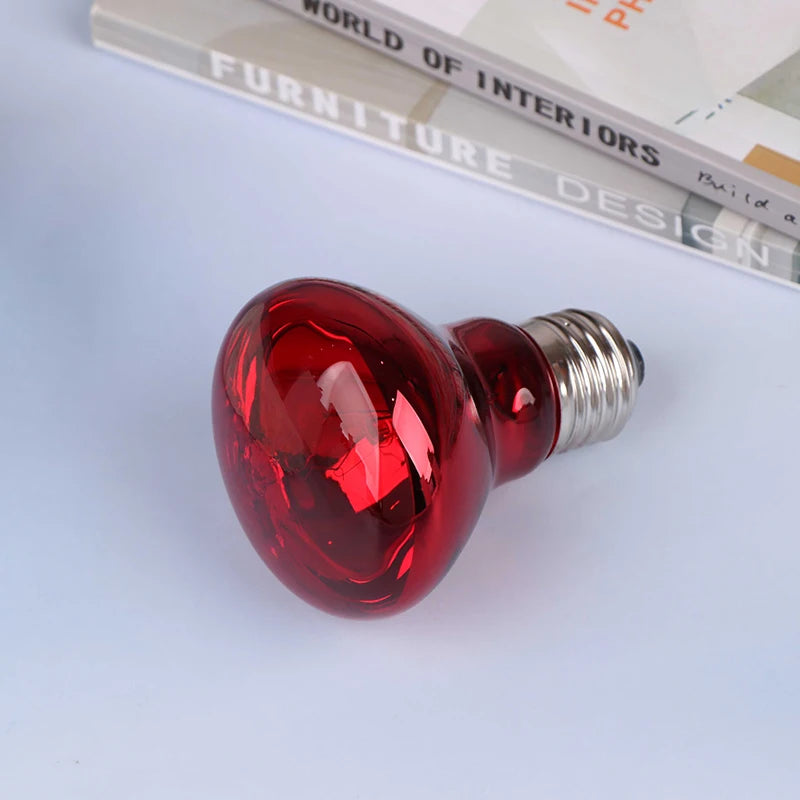 25/40/50/60/75/100W E27 UVA Poultry Bulb Infrared Night Light Day Poultry Heating Bulb For Plants Amphibians Reptile Pets