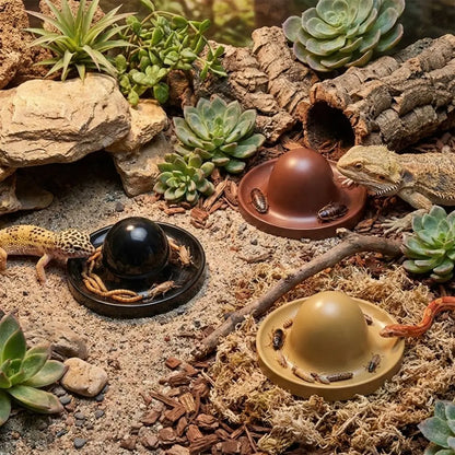 Plastic Reptile Feeder Bowl Round Wear Resistant Turtle Food Dish Escape Proof Wide Mouth Feeder Ledge for Amphibians