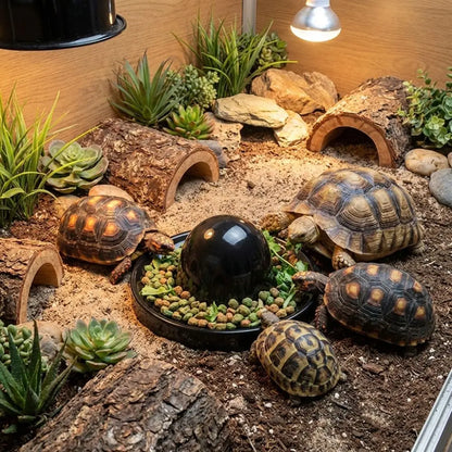 Plastic Reptile Feeder Bowl Round Wear Resistant Turtle Food Dish Escape Proof Wide Mouth Feeder Ledge for Amphibians