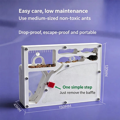 Acrylic DIY Large Ant Farm with Feeding Area Big Ants House Ant Nest Villa Insect Habitat Pet Anthill Ecological Workshop