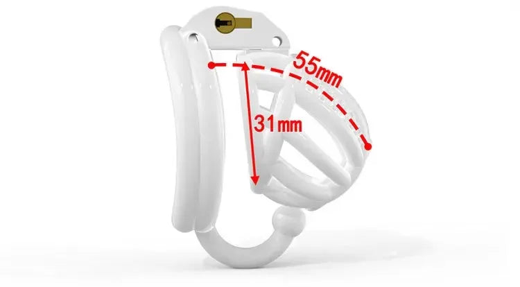 BDSM Chastity Cage 4 Size Ring Penis Cage Device Femdom Restraint Penis Lock Breathable Urethral Lock Bondage Device for Men