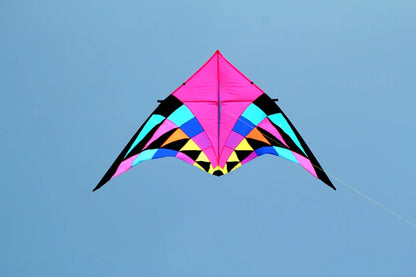 Free shipping large delta kites professional for adults kites flying toys sport kites windsurfing show kites fried flight kites