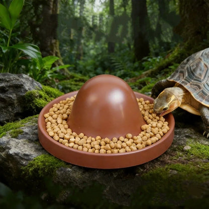 Plastic Reptile Feeder Bowl Round Wear Resistant Turtle Food Dish Escape Proof Wide Mouth Feeder Ledge for Amphibians