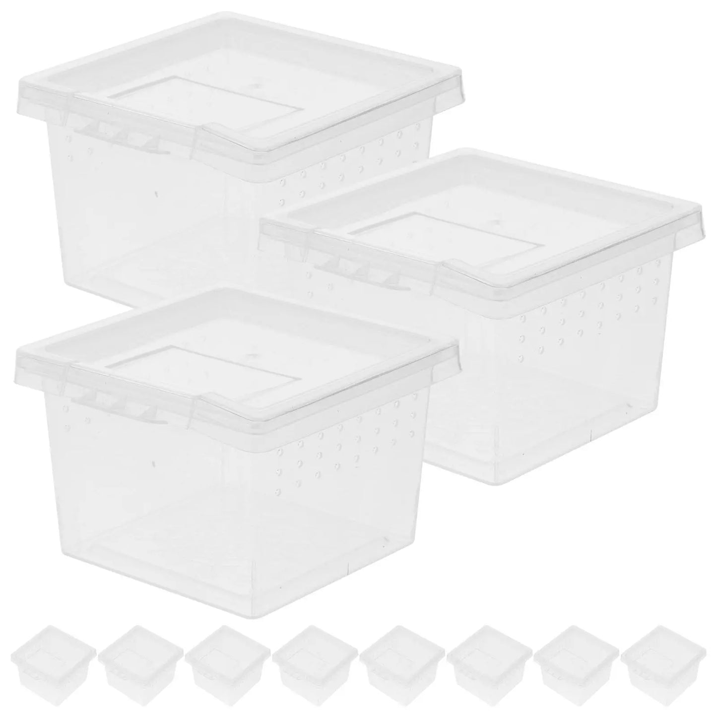 20Pcs Insect Observation Containers Clear Feeding Terrariums Portable Secure Small Habitat Enclosures for Spider Snail Tarantula
