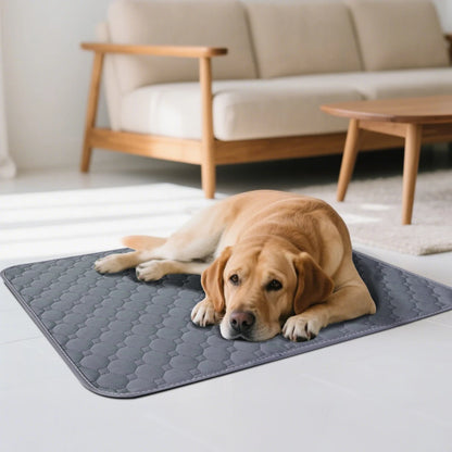 1PC Washable Reusable Pet Mat Training Pad, Suitable for Dogs and Cats, Non-Slip,Dog Cat Pad Blanket,  Pet Accessories