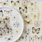 Journamm 40pcs ET Butterfly Stickers Scrapbook Supplies Creative Hand Account Materials Decoration DIY Stickers Junk Journal