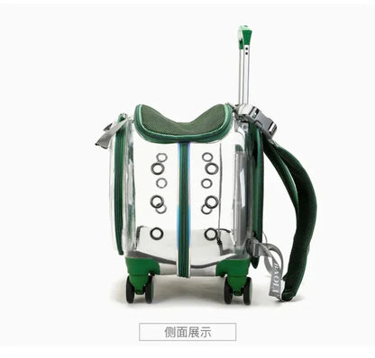 Pet Luggage, Transparent Space Capsule, Multi-purpose Backpack, Cat Bag, Large Capacity, Two Portable Small Dogs, Outdoor Bag