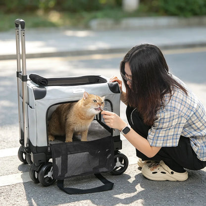 Large Wheel Breathable Pet Rolling Carrier Large Capacity Travel Bag For Two Cats Dogs Portable Car Pet Stroller