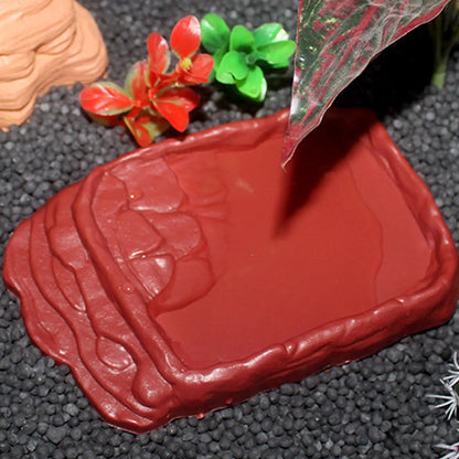 Anti-Slip Ladders Reptile Bowl Reptile Bathing Pool Tortoise Bathtub Water Dish Aquarium Ornament Tortoise Habitat Accessories