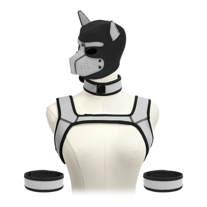 Pet Play Restraint Lingerie Set with Unisex Upper Body Harness Dog Hood Choker for Couple BDSM Fantasy Game Sex Toys