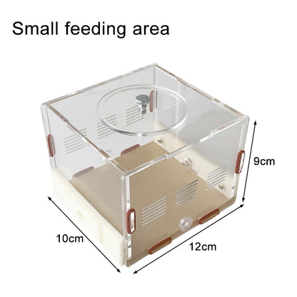Acrylic Ant Farm Unlimited Expansion Ant Nest with Feeding Area Gypsum Ant House Pet Anthill Workshop Moisturizing Water Tower