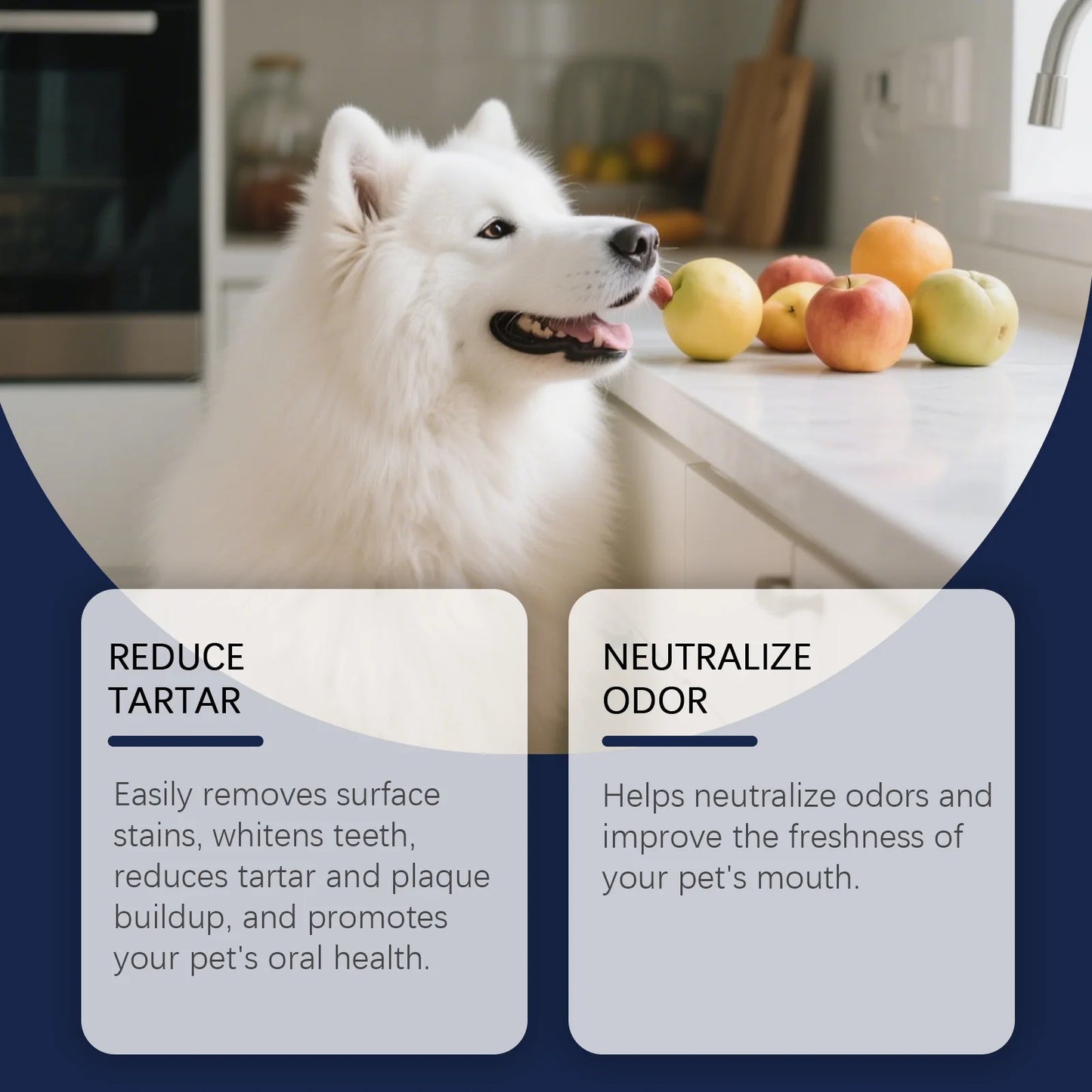 Pet Teeth Cleaning Pen Plant‑Based Mild Reduce Tartar Stain Fresh Breath Portable Oral Care for Dogs Cats Daily Dental Cleaner