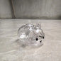 Cartoon Pet Hair Memorial Transparent Storage Box Keyring Cute Animal Rabbit Fur Organizer Keychain Bag Pendant Pet Souvenirs