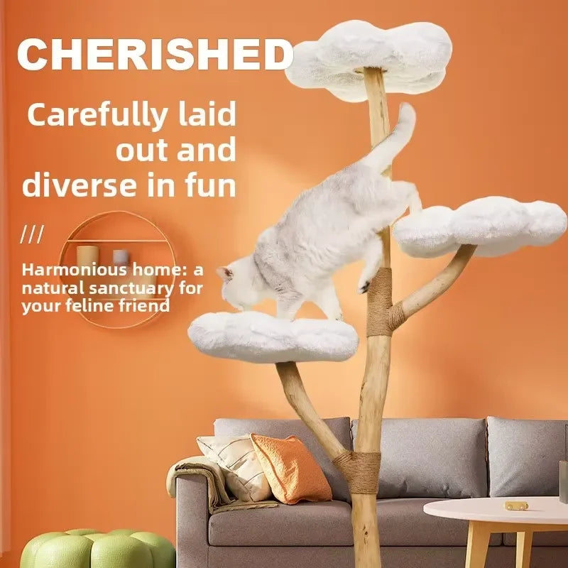 for Cloud Cat Climbing Frame Large Cat Tree Jumping Platform All-in-one Light-luxury Solid Wood Cat Shelf Nest