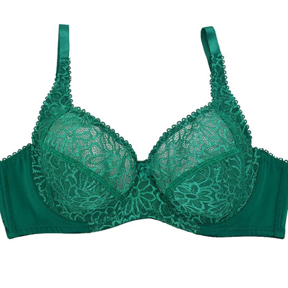 Plus Size Bras For Womens Lace Sexy Bra Perspective Underwire Female Lingerie BH Tops C D DD E F Cup