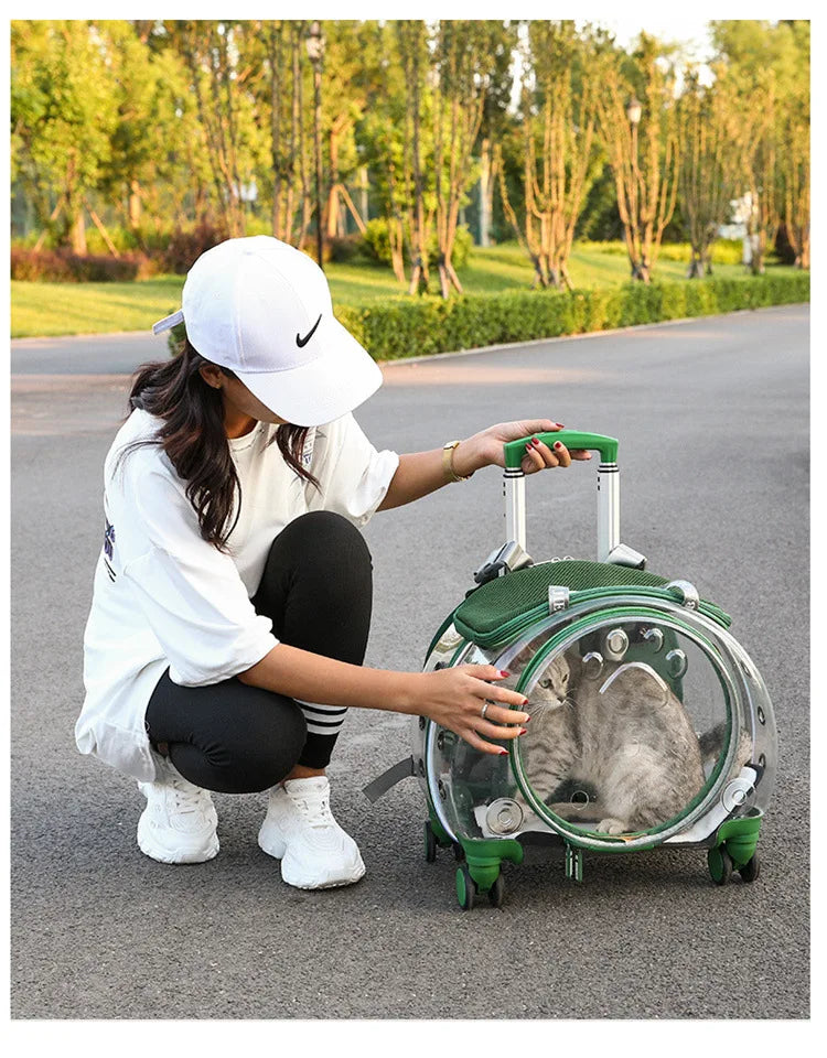 Pet Luggage, Transparent Space Capsule, Multi-purpose Backpack, Cat Bag, Large Capacity, Two Portable Small Dogs, Outdoor Bag