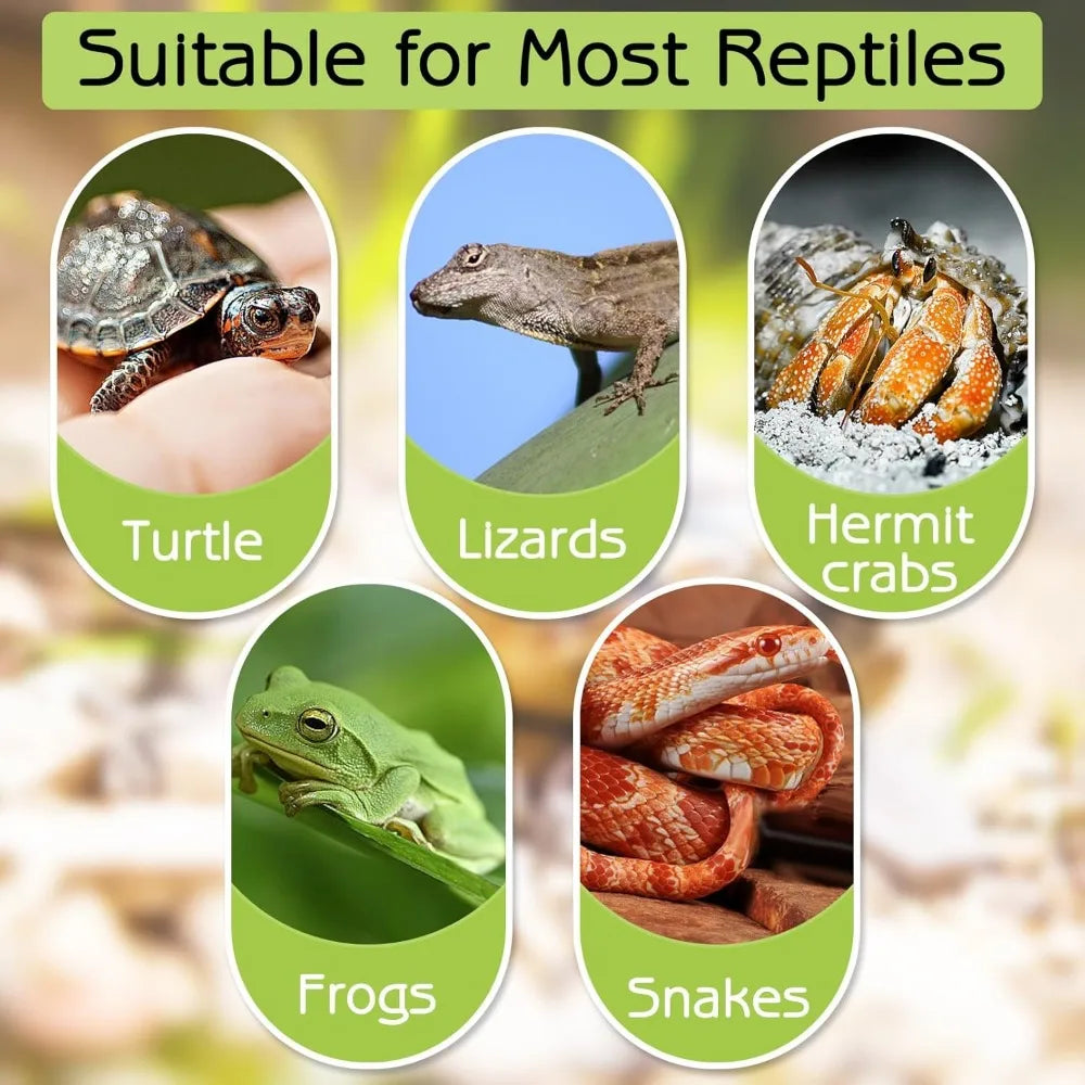 Turtle Bathing Pool Feeding Dish Durable Reptile Water Bowl for Box Turtles Frogs and Pets Easy to Clean Habitat Accessory