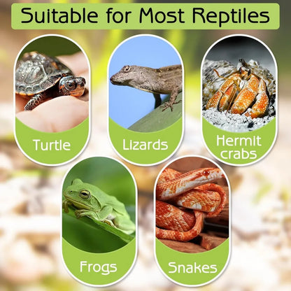 Turtle Bathing Pool Feeding Dish Durable Reptile Water Bowl for Box Turtles Frogs and Pets Easy to Clean Habitat Accessory